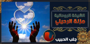 جلب الحبيب في الدنمارك